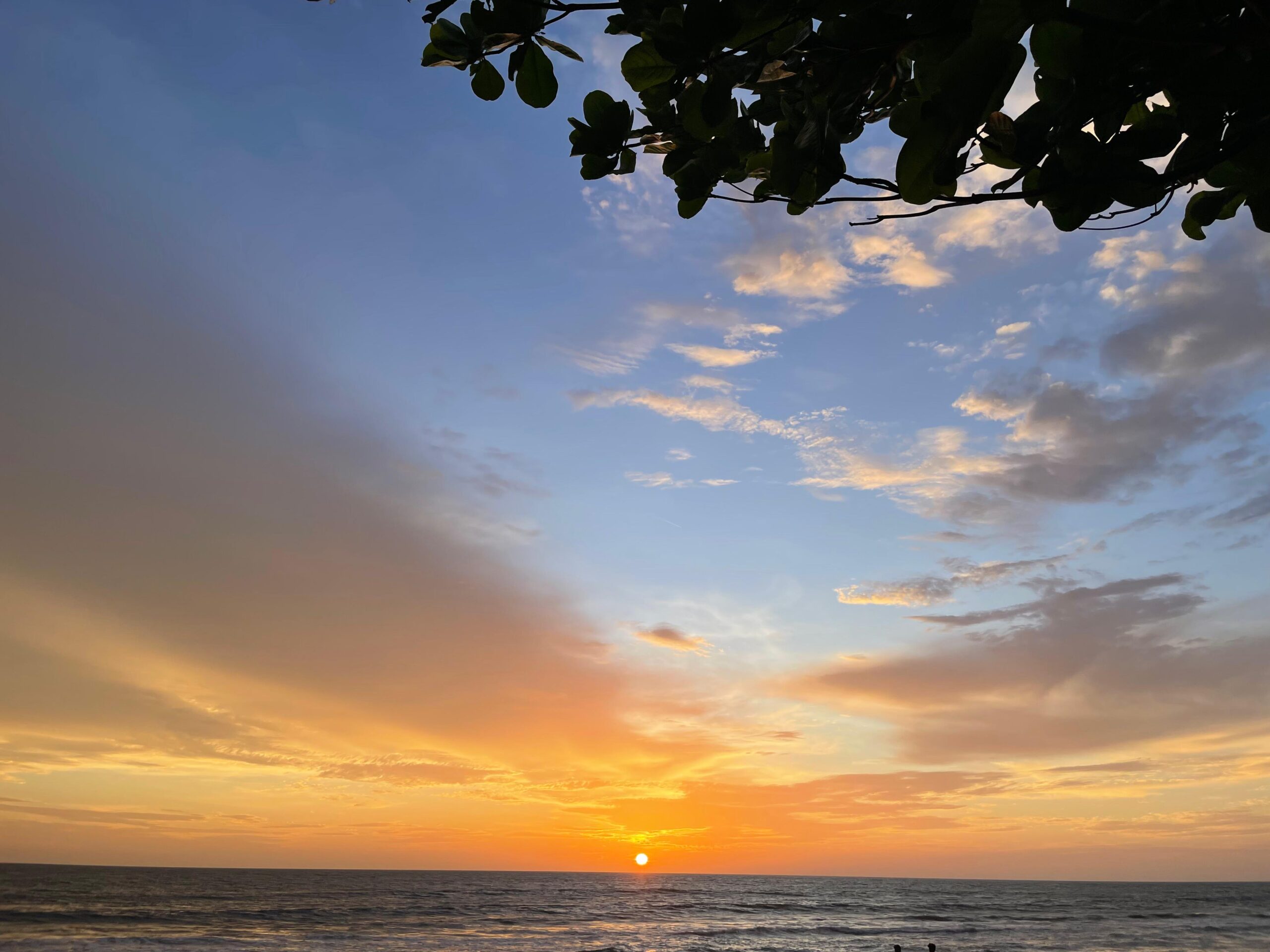 Turtlehan Resorts